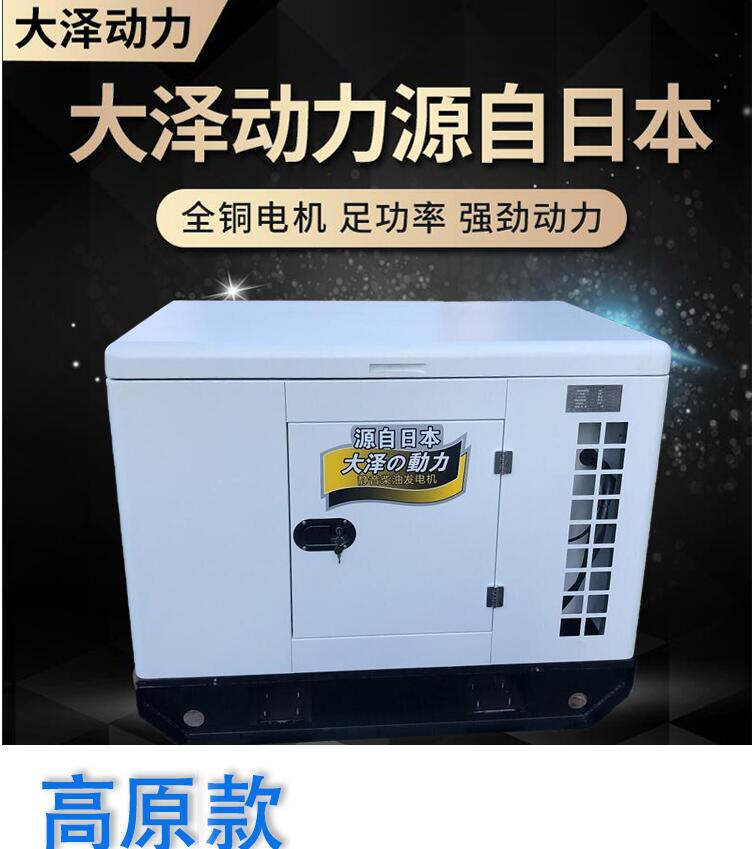 大澤動力10kw柴油發(fā)電機高原裝置